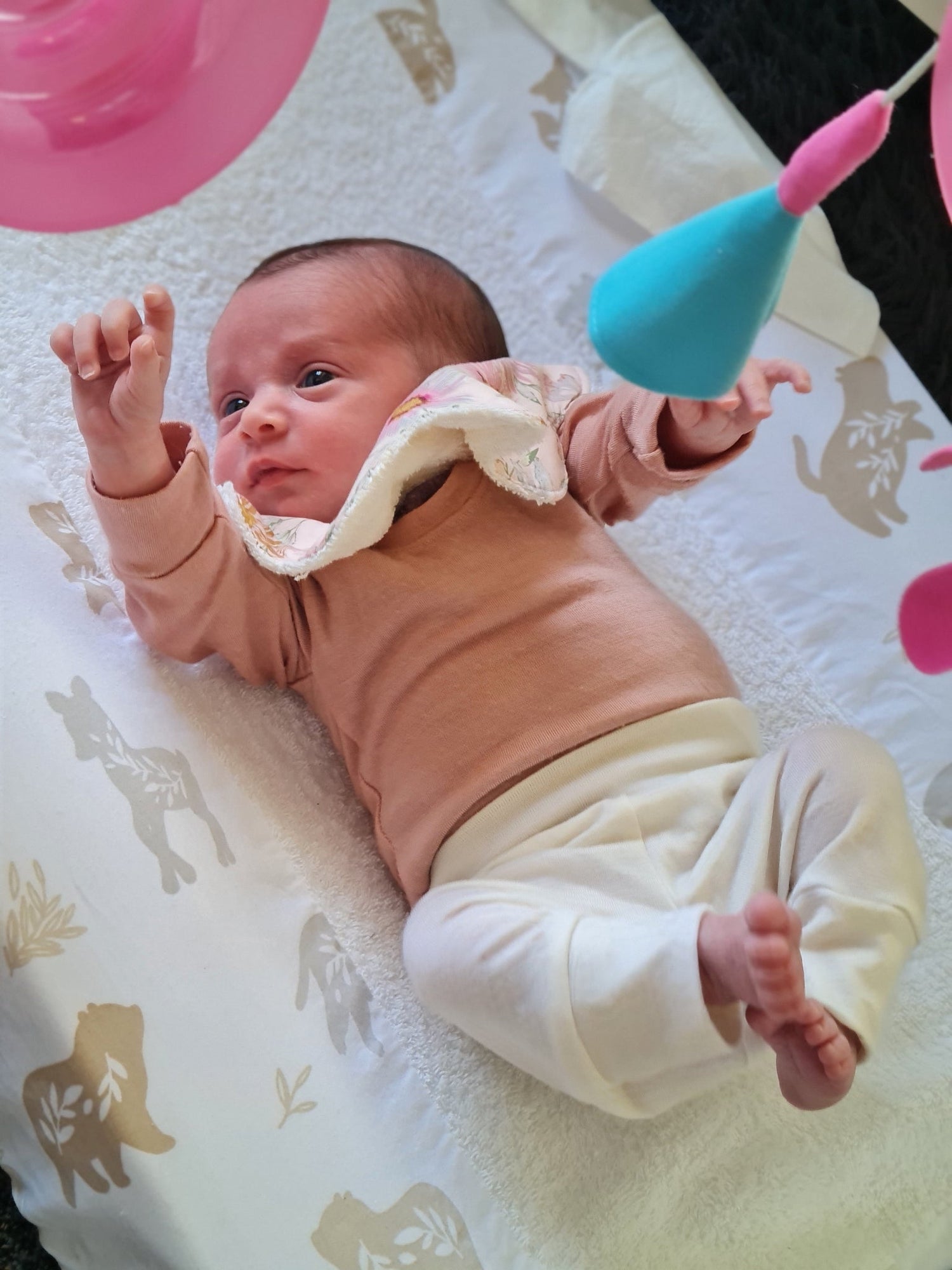 ZQ Merino Harem Pants & Leggings