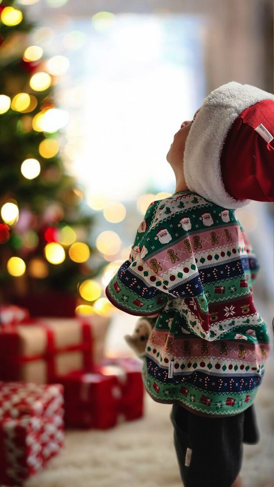 Frankie Raine Retro Nordic Stripe Tee